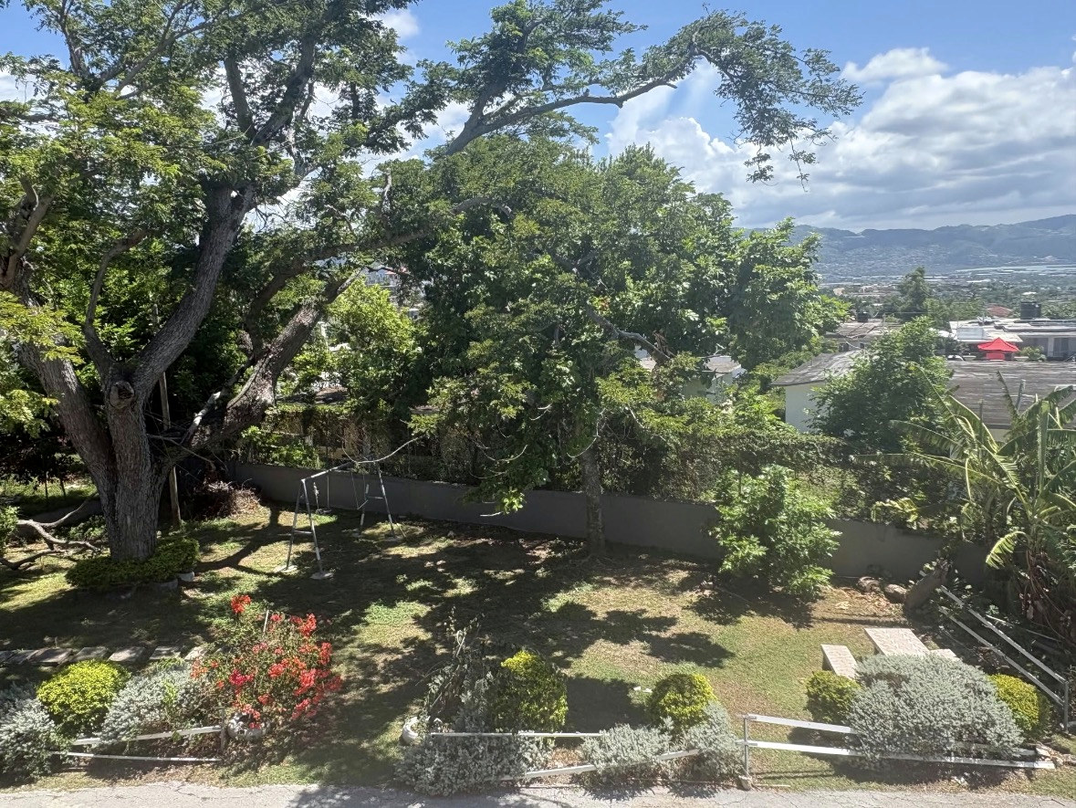 Tree-shaded garden and distant hills from the property